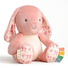 Load image into Gallery viewer, Sweetie Snuggles™ Plush: Strawberry