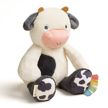 Load image into Gallery viewer, Sweetie Snuggles™ Plush: Strawberry
