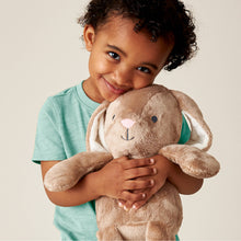 Load image into Gallery viewer, Sweetie Snuggles™ Plush: Strawberry
