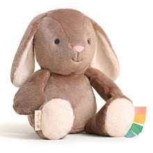 Load image into Gallery viewer, Sweetie Snuggles™ Plush: Strawberry
