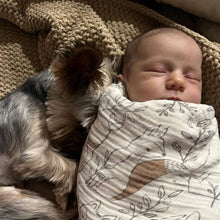 Load image into Gallery viewer, Ezra 2-Pc. Swaddle Wraps
